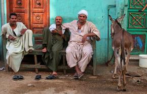 ربع المصريين فقراء وأعلى نسبة في أسيوط