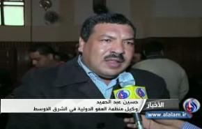 انقسام حول الاستفتاء في مصر