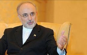 صالحي يلتقي العربي والابراهيمي في القاهرة