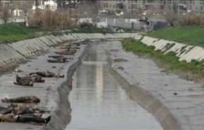 مسلحون يقتلون 68 مدنياً بحلب ويرمونهم بالنهر