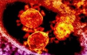 اكتشاف 12 حالة من فيروس شبيه بسارس في العالم