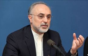 صالحي: متفائلون بحل الموضوع النووي الايراني السلمي
