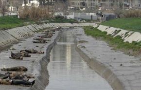 العثور على جثث 34 شخصاً قرب دمشق وبحلب
