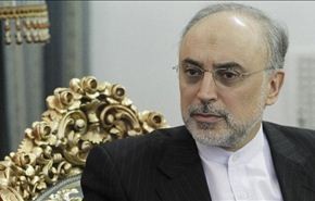 صالحي وادريسف يأملان مواصلة المفاوضات النووية