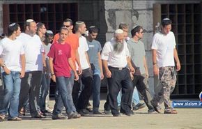 المستوطنون يقتحمون الاقصى في باب المغاربة