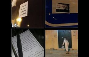 بالفيديو ... فعاليات حملة 