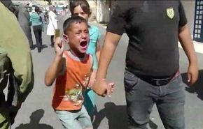 بالفيديو..