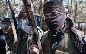 صحيفة هولندية تحذر الغرب من تسليح المعارضة السورية