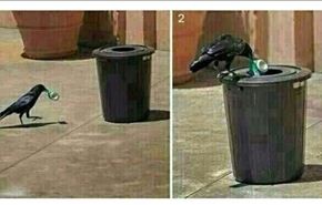 صورة مدهشة.. 