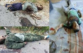 سعودي ينشر صورا لمدنيين سوريين على تويتر تفاخر بقتلهم