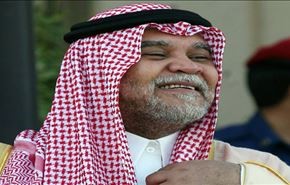 بندر شاهرا سيفه في مزاد الربيع العربي