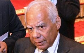 الببلاوي يدعو الى خارطة طريق سياسية في مصر
