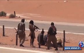 بالفيديو.. القاعدة تعدم سائقي شاحنات على عدد الركعات