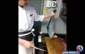 شاهد.. سمكة تتحرك بعد قطع رأسها وشطرها نصفين