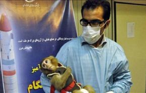 ايران سترسل مجددا قردا الى الفضاء الشهر القادم