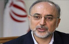 صالحي:الاستنباط الخاطیء هو سبب النقد الموجه الی اتفاق جنیف