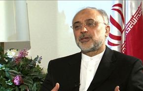 صالحي: مفاعل بوشهر  يحظى بدرجة أمان عالية أمام الزلازل