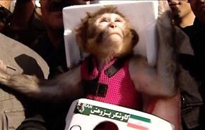 بالفيديو.. 