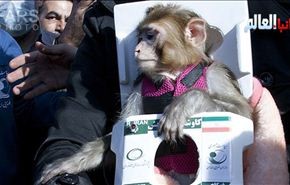 ايران ترسل مسبارا الى الفضاء على متنه قرد وتعيده بنجاح
