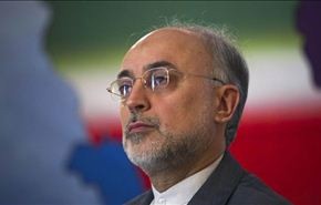صالحي: لا يحق للمفتشين الدوليين تفقد صناعاتنا العسكرية