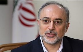 مفتشو الوکالة سیزورون ایران بین شهری ینایر وفبرایر