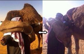 بالصورة ..عناق حار 