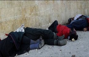 فيديو من مجازر واقتتال الجماعات المسلحة في ريف إدلب