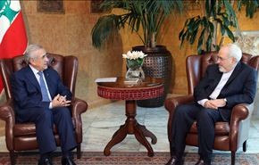 ظريف: جهودنا مكرسة لاستقرار المنطقة سواء دعينا لجنيف2 أم لا