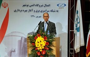 إيران وروسيا تتدارسان بناء الوحدة الثانية لمحطة بوشهر الكهروذرية