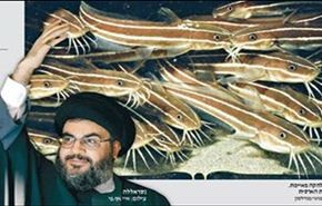 فيديو: السمكة السامة 
