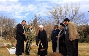 روحاني يغرس شجرة في يوم التشجير بايران