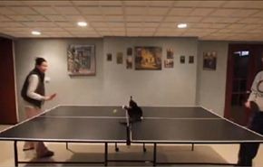 بالفيديو/ قطة تتفوق على رجل وامراة بـ