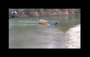 شاهد.. كلب شجاع ينقذ اقرانه في قارب ضل طريقه