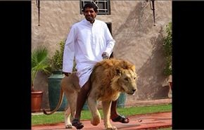 شاهد... صور غريبة لا تراها الا في دبي !
