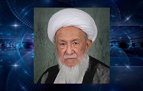 آية الله فياض: التطوع عبر المؤسسات العسكرية حصرا