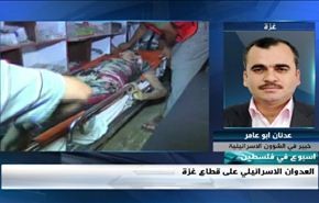العدوان على قطاع غزة - الجزء الثاني