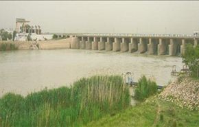 عناصر 