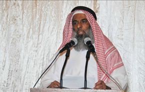 نائب كتلة 