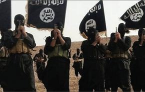 التونسيون يمثلون العمود الفقري لـ