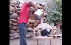 شاهد...قرد صغير يشارك في 