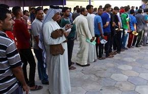 1000 شبكي يتطوعون لمحاربة 