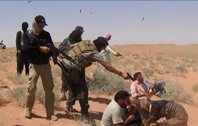الازهر يدعو لعدم تسمية 