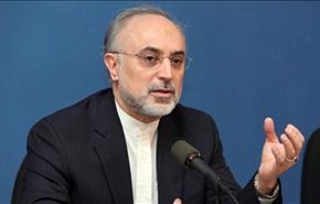 صالحي: من الصعب للغرب ان یری مکانة ایران في العلاقات الدولیة