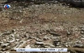 فيديو؛ كيف باغت المسلحون حزب الله في بريتال، وماذا حققوا؟
