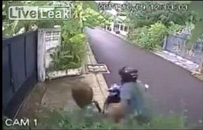 شاهد...ماذا فعل لص الحقائب بهذه السيدة؟