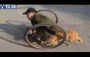 شاهد كلب وفي يساعد صديقه المقعد على التحرك