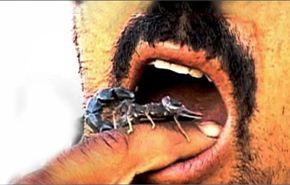 داعش يستخدم الحشرات السامة بمواجهة الجيش العراقي!