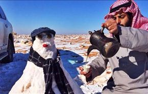 فتوى 