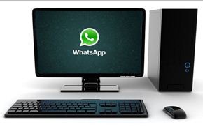 إليكم جديد واتساب 