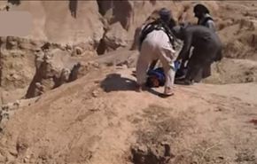 انشقاقات وعمليات إعدام داخل 